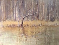 Golden Reflections